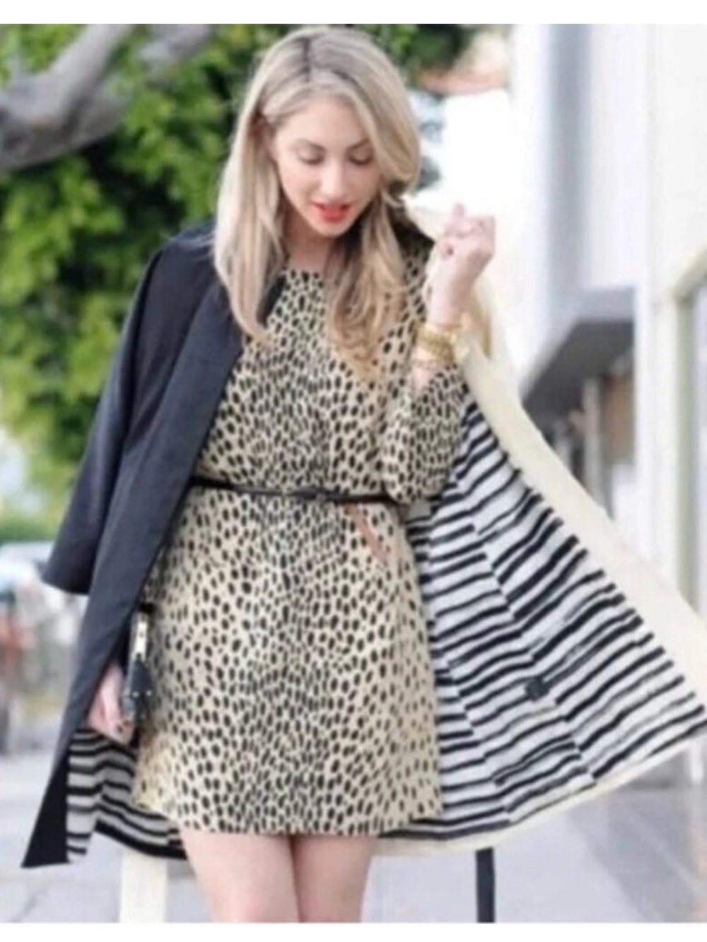 J. Crew Savannah Cheetah Jules Shift Dress 6 - Picture 4 of 5
